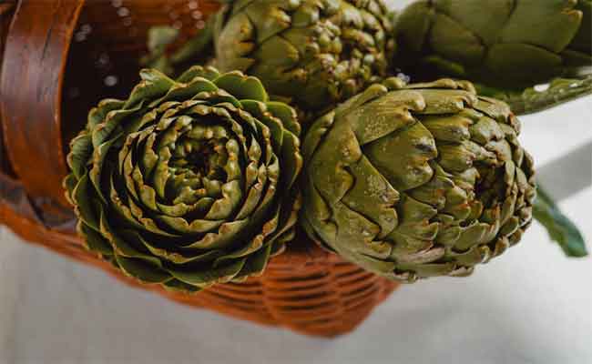 فوائد الخرشوف الصحية خصوصاً لصحة الكبد على درجة من الأهمية