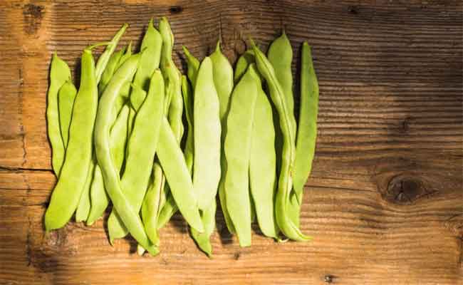 فوائد اللوبيا الخضراء لا تفوّتيها: غنيةٌ بالألياف ونجمةُ الأطباق اليومية…