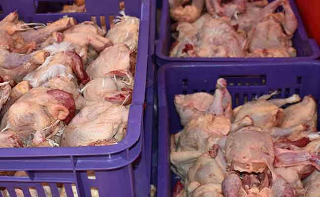 حجز أزيد من قنطارين لحوم بيضاء غير صالحة للاستهلاك بوهران