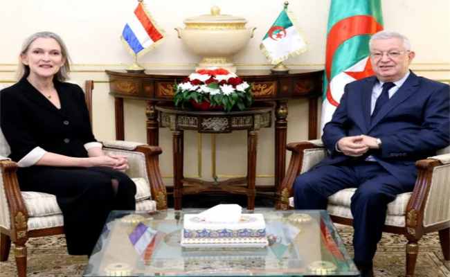 ناصري يستقبل سفيرة هولندا