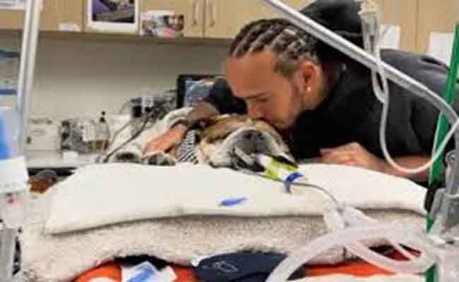 نجم سباقات الفورمولا 1 حزين…