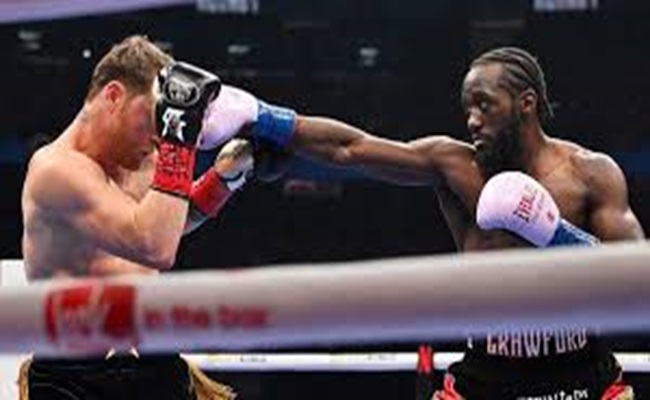 البطل الموحد للعالم في وزن السوبر متوسط للملاكمة