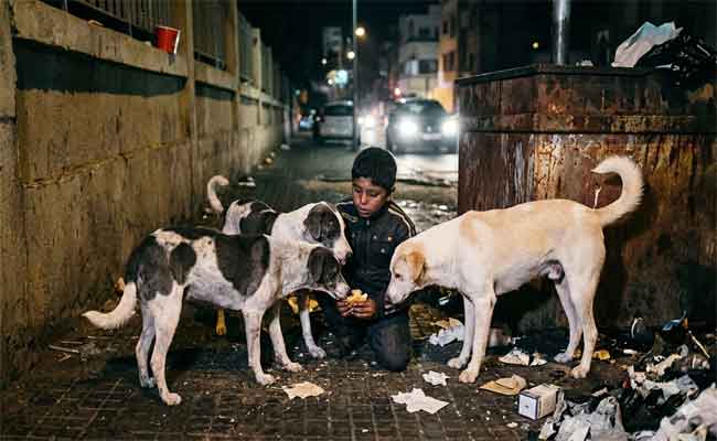 الأطفال مجهولي الاب والنسب بالجزائر ينافسون الكلاب على الطعام المرمي في الأزبال