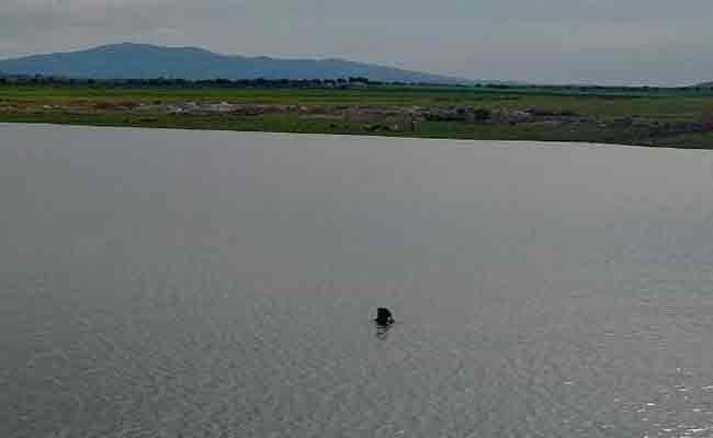 انتشال جثتي طفلين غرقا في مجمع مائي بالطارف