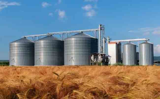 وليد يؤكد أن تخزين الحبوب لم يعد مجرد خيار بل هو توجه استراتيجي