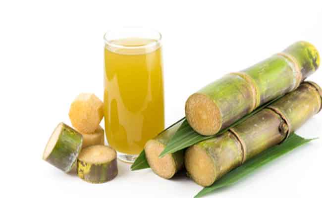 فوائد قصب السكر لا غنى عنها في فصل الصيف