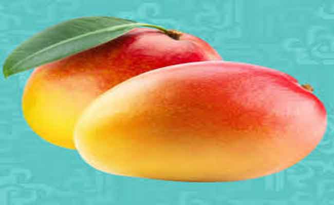 فوائد لم تكوني تعرفينها عن المانجو: مصدر غني بالفيتامينات الأساسية