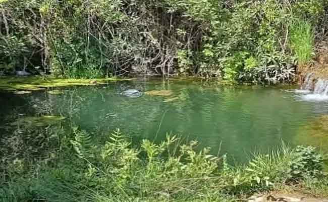 انتشال جثتي طفلين غرقا بعين لقراج وقجال بسطيف