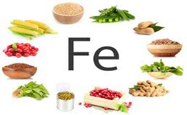 تعرفي على مصادر الحديد النباتية والحيوانية وأيها الأفضل لصحتك