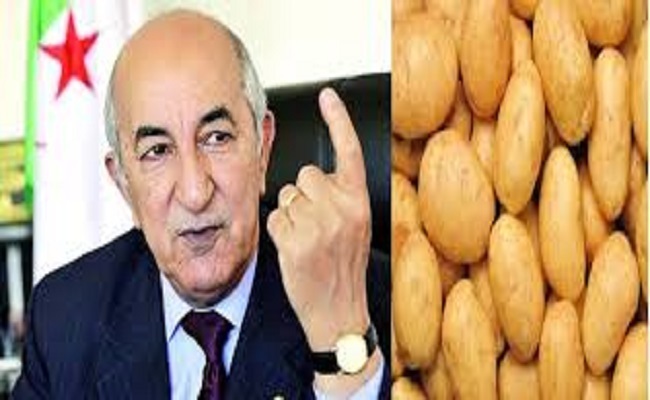 تبون رئيس البطاطا في دولة الطوابير