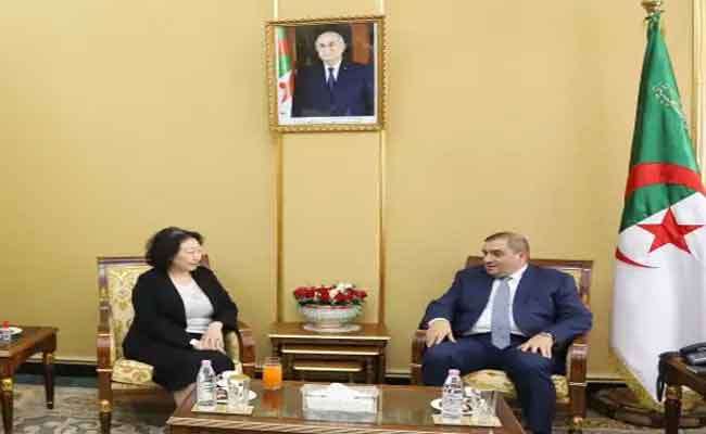 بوجمعة يتباحث مع الأمينة العامة للمنظمة الدولية للوساطة تطوير تسوية النزاعات