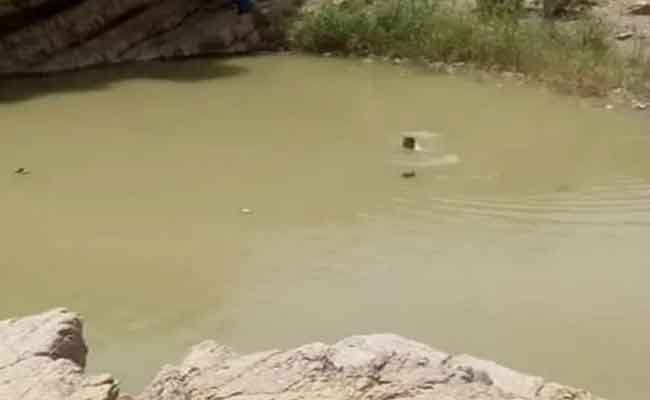 غرق طفل في بركة مائية بتلمسان