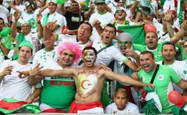 عندما تشاهد السرقة وثقافة التخريب فاعلم أن جمهور الثعالب مر من هنا