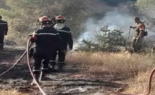 حرائق أدغال وأحراش وغابات تخلف قتيلا وجريحان بقالمة