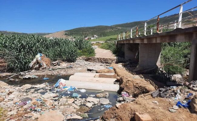في عهد تبون الخضر والفواكه في الجزائر بنكهة الفضلات والبترول