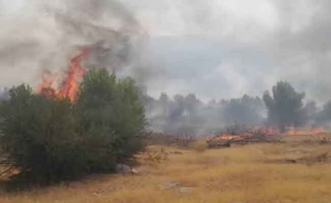 إجلاء 15 شخصا جراء اندلاع حريقين بقالمة