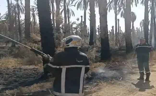 النيران تلتهم هكتار حشائش و49 نخلة مثمرة بالمغير