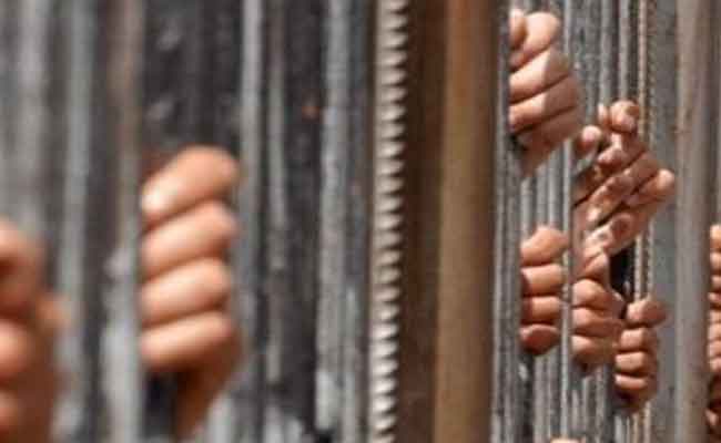حبس 3 أشخاص تورطوا في إضرام النار بالمساحات الغابية ببجاية