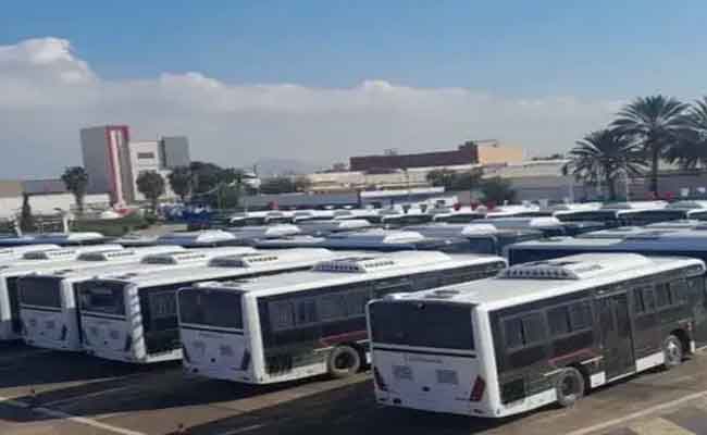 تعزيز أسطول النقل في ولاية المدية بـ40 حافلة جديدة