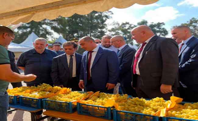 وزارة التجارة الخارجية تنظم معرض العنب بولاية بومرداس